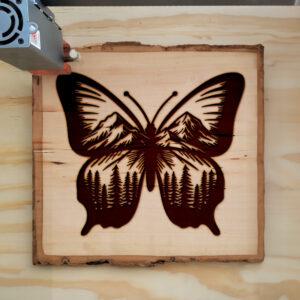 573746_wood-laser-1.jpg
