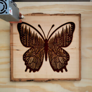 573750_wood-laser-1.jpg