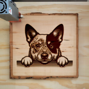 584585_wood-laser-1.jpg