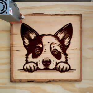 584595_wood-laser-1.jpg