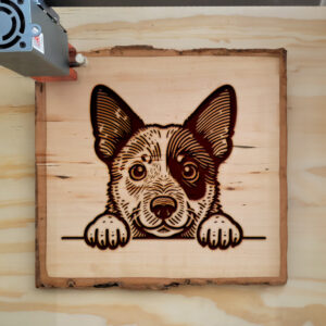 584603_wood-laser-1.jpg