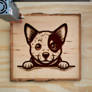 584605_wood-laser-1.jpg