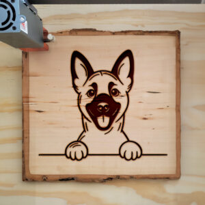 584721_wood-laser-1.jpg