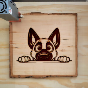 584731_wood-laser-1.jpg