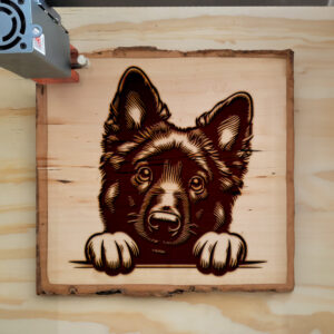 584749_wood-laser-1.jpg