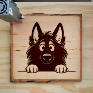 584754_wood-laser-1.jpg