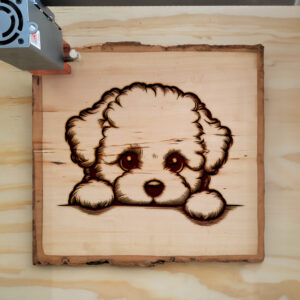 584802_wood-laser-1.jpg