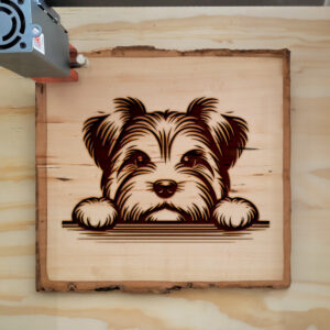 584821_wood-laser-1.jpg