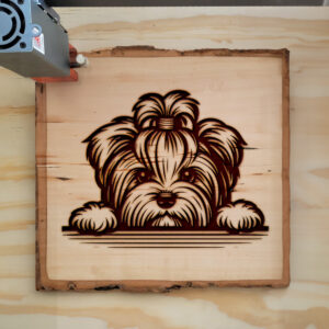 584823_wood-laser-1.jpg