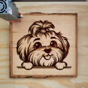 584895_wood-laser-1.jpg
