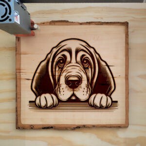 584920_wood-laser-1.jpg
