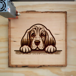 584922_wood-laser-1.jpg