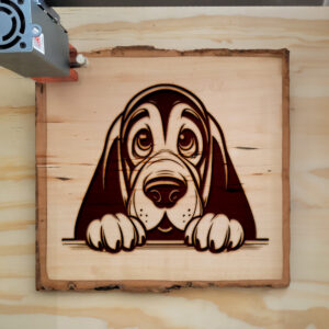 584927_wood-laser-1.jpg