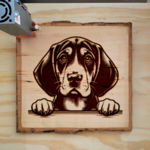 584979_wood-laser-1.jpg