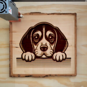 584981_wood-laser-1.jpg