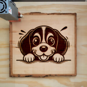 584985_wood-laser-1.jpg