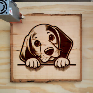 584992_wood-laser-1.jpg