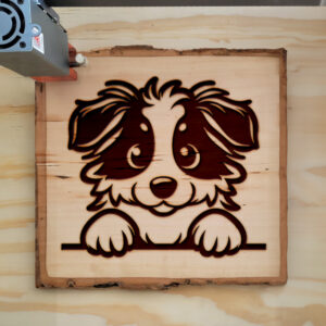 585008_wood-laser-1.jpg