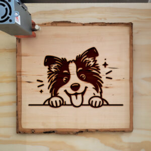585014_wood-laser-1.jpg