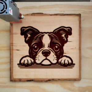 585120_wood-laser-1.jpg