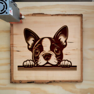 585124_wood-laser-1.jpg