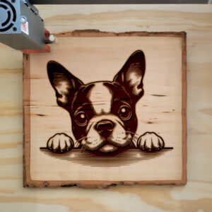 585126_wood-laser-1.jpg