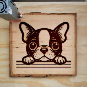 585128_wood-laser-1.jpg
