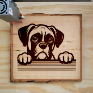 585141_wood-laser-1.jpg