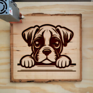 585148_wood-laser-1.jpg