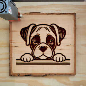 585151_wood-laser-1.jpg