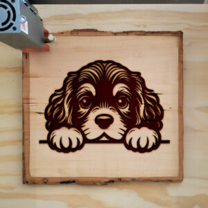 585167_wood-laser-1.jpg