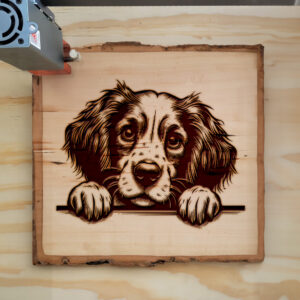 585188_wood-laser-1.jpg