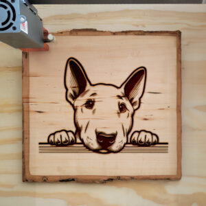 585229_wood-laser-1.jpg