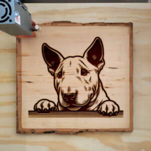 585241_wood-laser-1.jpg