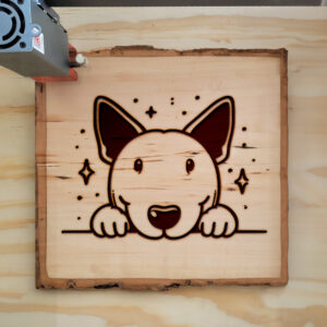 585246_wood-laser-1.jpg