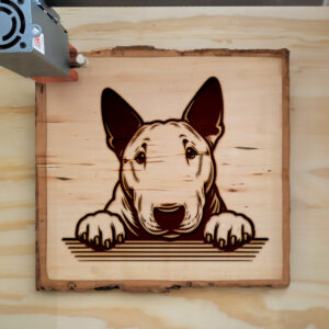 585250_wood-laser-1.jpg