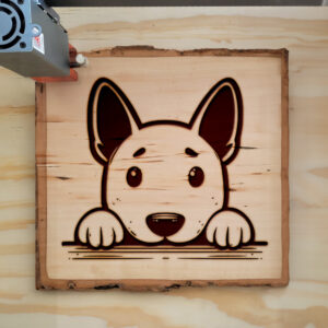 585268_wood-laser-1.jpg