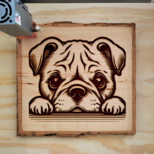 585272_wood-laser-1.jpg