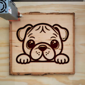 585276_wood-laser-1.jpg