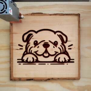 585282_wood-laser-1.jpg