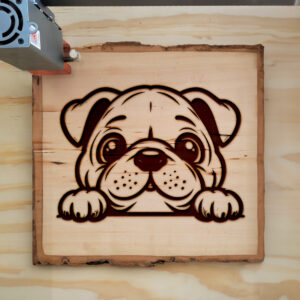 585290_wood-laser-1.jpg