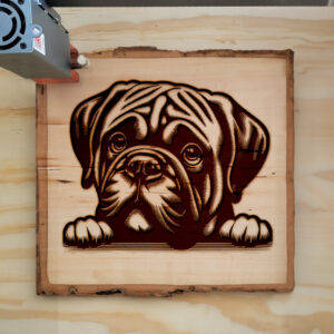 Mockup Image