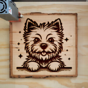 585302_wood-laser-1.jpg