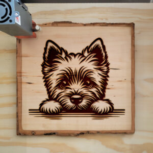 585306_wood-laser-1.jpg