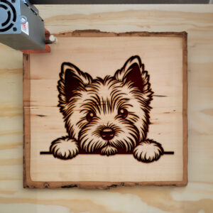 585310_wood-laser-1.jpg