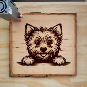 585327_wood-laser-1.jpg