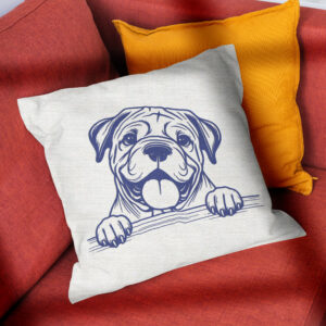 585335_pillow-3.jpg