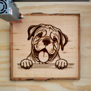585335_wood-laser-1.jpg