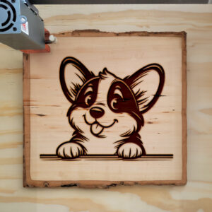585363_wood-laser-1.jpg