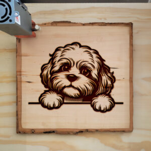 585373_wood-laser-1.jpg